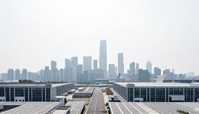 高级会员服务适用场景与限制分析